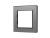 Рамка стеклянная FRM-GLARE-GS-1-GR Рамка стеклянная FRM-GLARE-GS-1-GR