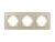 Рамка стеклянная FRM-OMALI-GS-3-GD Рамка стеклянная FRM-OMALI-GS-3-GD
